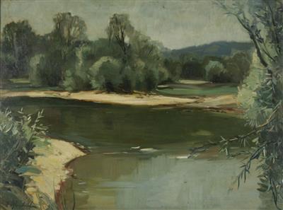 "Aulandschaft Puchenau"