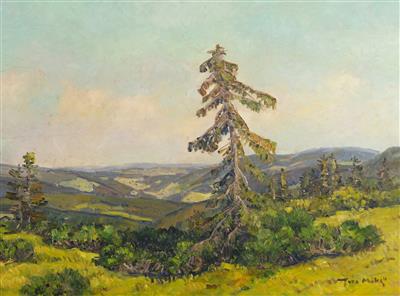 Summer Landscape