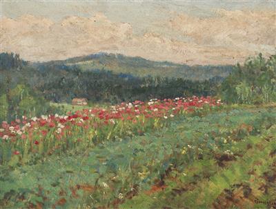 Wild Poppies