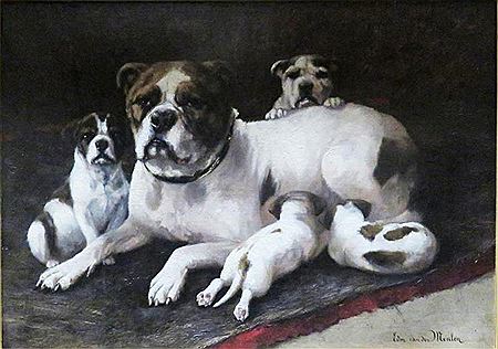 A Bulldog and her Puppies