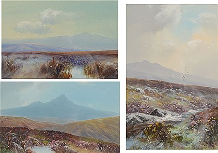 Moorland Scenes (3)