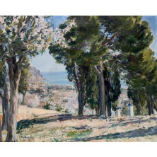 "Jávea"