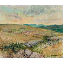 Paisaje