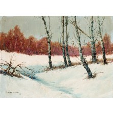 "Paisaje nevado"