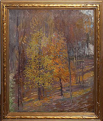 FALL WOODS
