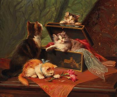 Kittens Playing
