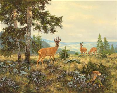 Red Deer on High Ground