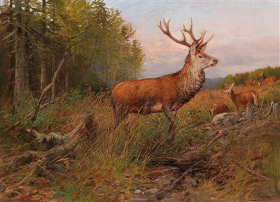 Sample artwork by Albert Ernst Muhlig (1862 - 1909), known for landscape and animal painting - View similar artists and auction records