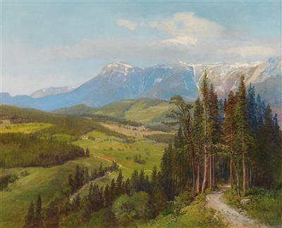 View of the Rax Region
