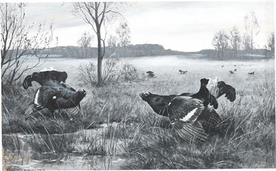 Mating wood crouse
