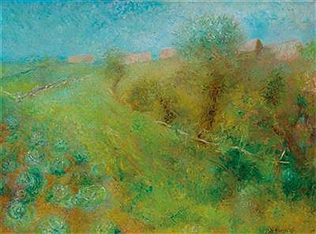 A vegetable garden