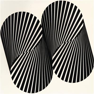 Evoluzione centripeta, 1965