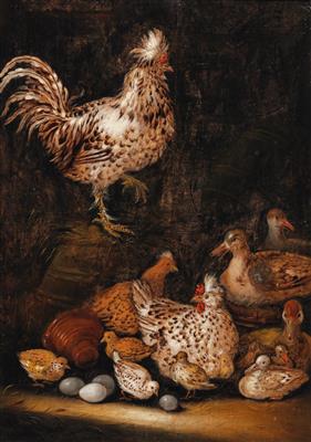 Chickens, a cockerel and ducks