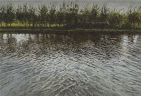 Ripa VIII (Beastly weather)