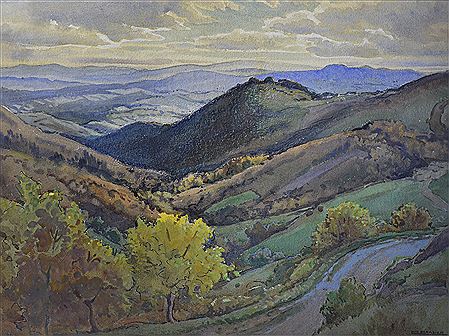 Rolling Landscape
