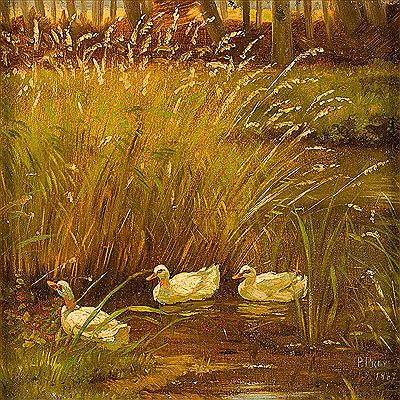 Drei Enten an einem mit Schilf bewachsenen Teich.