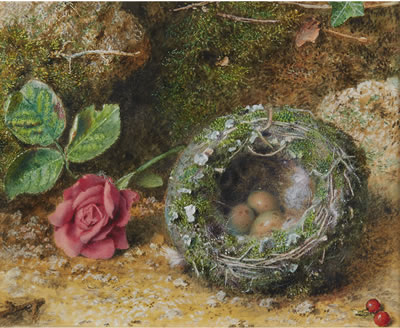 "ROSE AND BIRDS NEST" by John Sherrin - Auction record, sale price, and art valuation. Compare with similar artists and explore comparable artworks.
