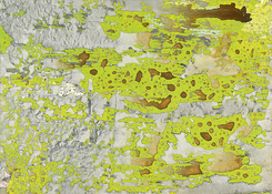 Ohne Titel, 2008