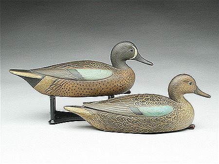 Bluewing teal hen and drake