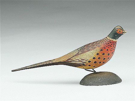 Miniature ringneck cock pheasant