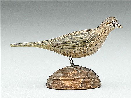 Miniature ringneck pheasant hen
