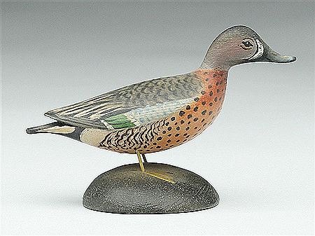 Miniature bluewing teal drake