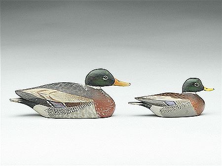 Two miniature mallards