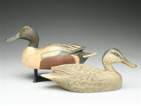 Very rare pair of shovelers