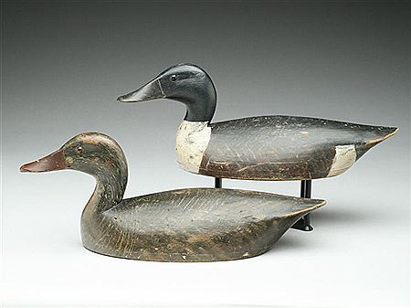 Pair of extremely rare of shovelers
