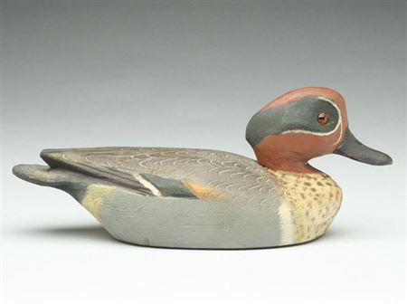 Greenwing teal drake