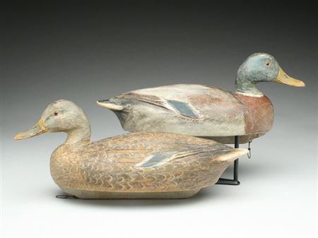 Rigmate pair of mallards
