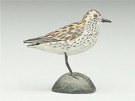 Miniature sanderling