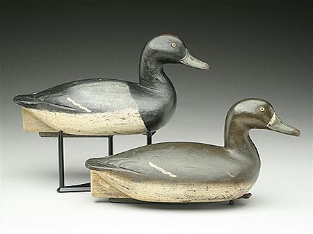 Very rare rigmate pair of bluebills