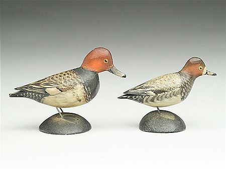 Pair of miniature redheads