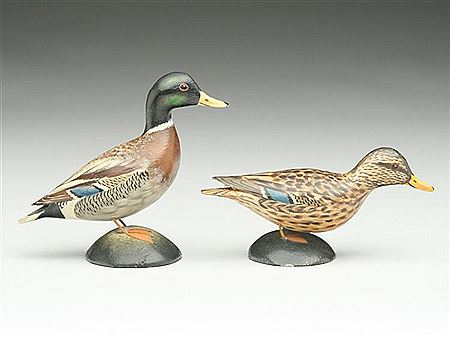 Larger than average size pair of miniature mallards