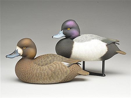 Pair of bluebills