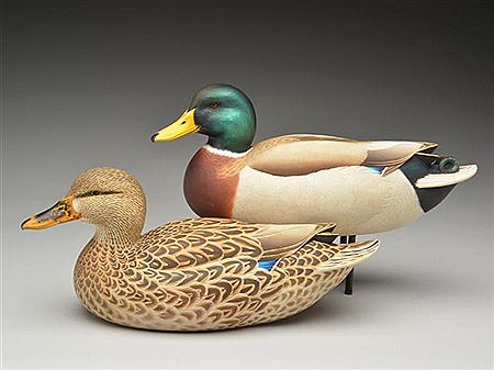 Pair of mallards