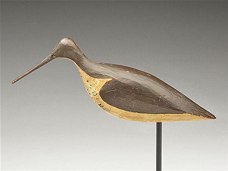Extremely rare long billed dowitcher