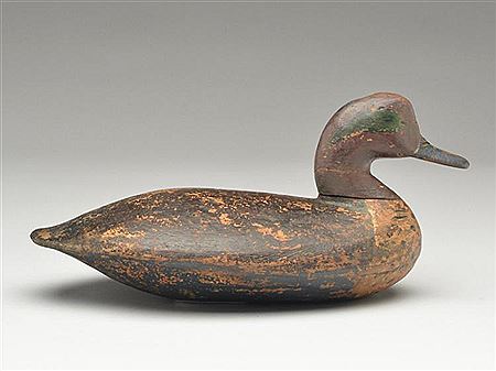 Exceedingly rare greenwing teal drake