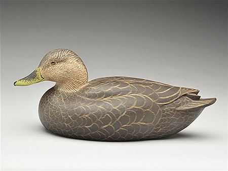 Competition grade black duck with slightly turned head and raised wingtips