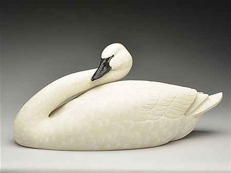 Rare and possibly unique swan
