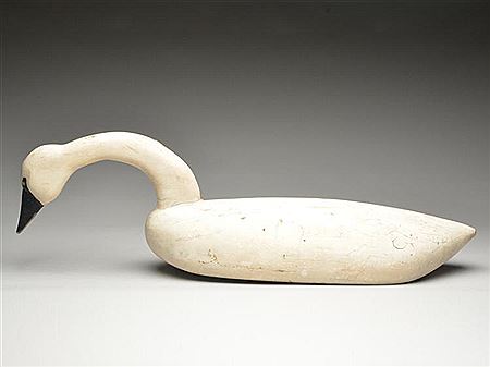 Unusual and stylish swan
