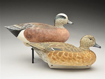 Rigmate pair of widgeon