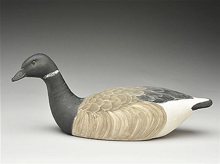 Swimming brant