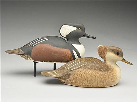 Rare pair of hooded mergansers