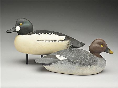 Rigmate pair of goldeneye