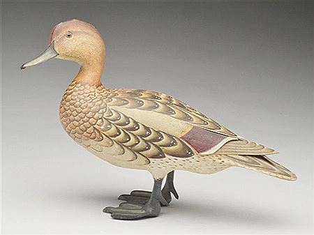 Extremely rare standing pintail hen