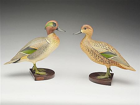 Pair of full body standing greenwing teal
