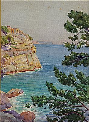 Falaise à Carqueiranne (Var)