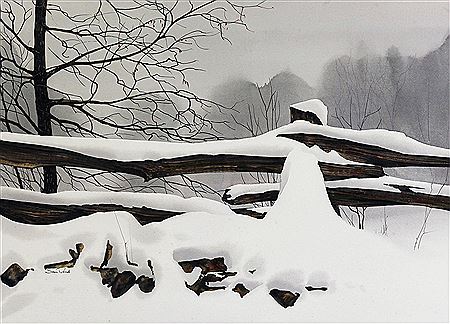 RAIL FENCE, WINTER